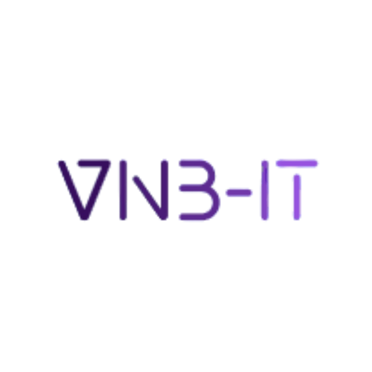 vnb-it