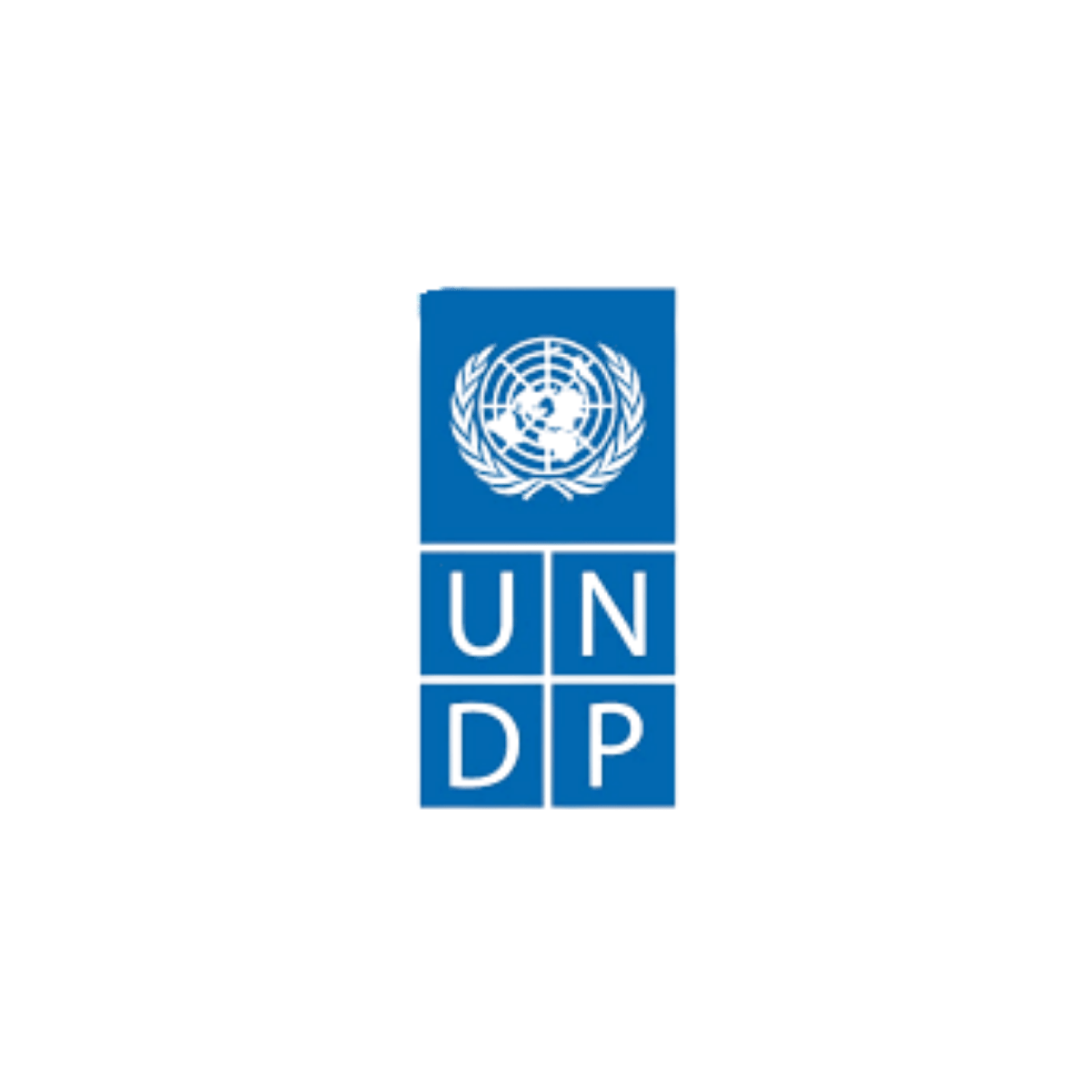 united-nations-development-programme