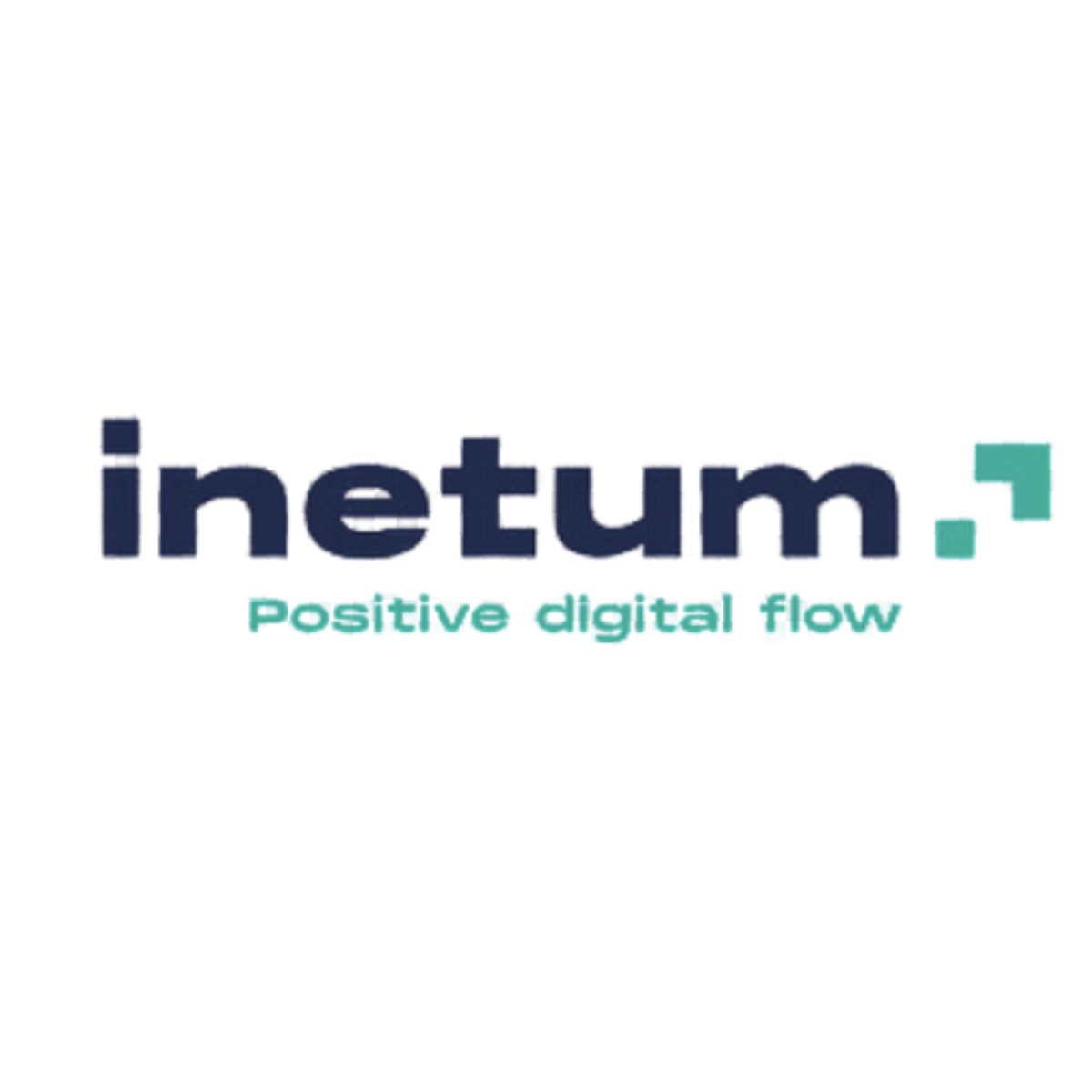 inetum-recrute-a-casablanca-pmo-consultants-developpeurs-stagiaires