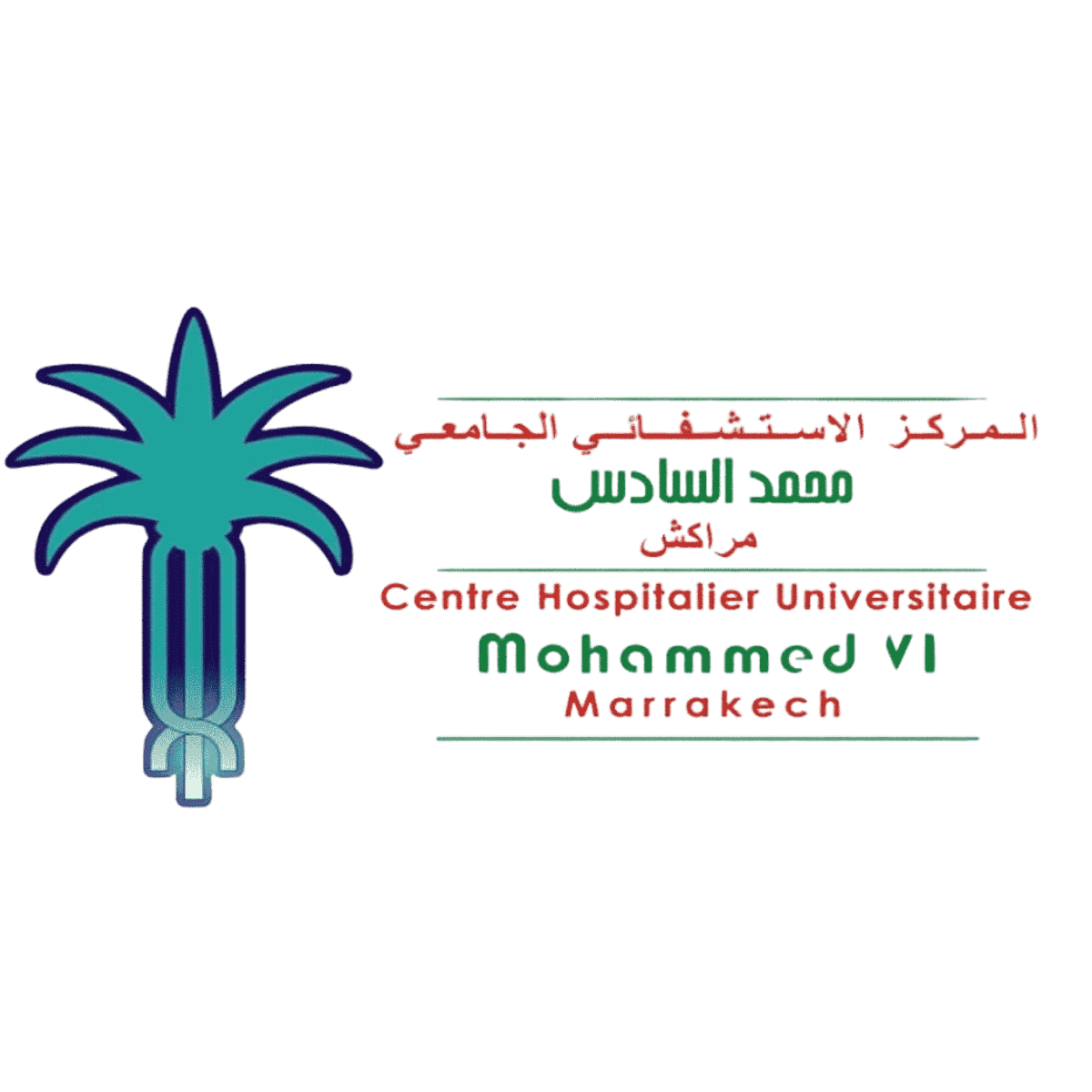 chu-mohammed-vi-marrakech